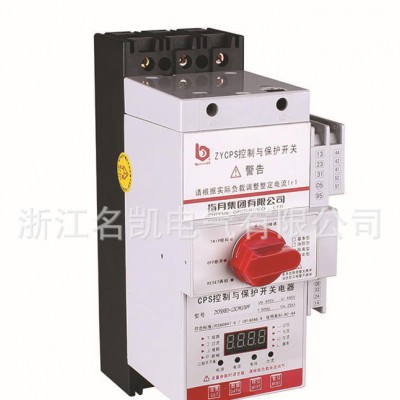 直銷 CPS(KB0)-125C/3P基本型控制與保護開關電器低壓電器