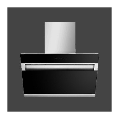 RAOEN勞恩CXW-218-F13側吸近吸式抽油煙機 廚房電器