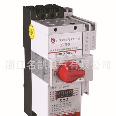 直銷 CPS(KB0)-45C/3P基本型控制與保護開關電器 低壓電器