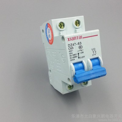 2P16家用小型斷路器 DZ47空開 溫州低壓電器代理