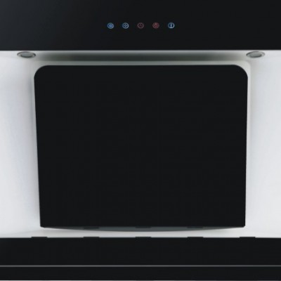 RAOEN勞恩CXW-218-DE11側吸近吸式抽油煙機 廚房電器