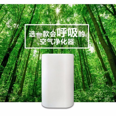 負離子空氣凈化器家用除甲醛智能家用空氣凈化器批發oem貼牌廠家空氣凈化器家用除甲醛煙霧生活小家電家用電器凈化器源頭廠家