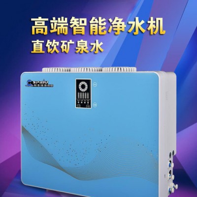 德國智能凈水器多功能凈水機小家電 高端純水機招商代理