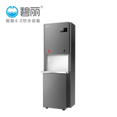 碧麗牌KL50BRO工廠凈水機(jī)直飲水機(jī)K35BRO批發(fā)價(jià)格 工廠凈水器