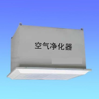 生產(chǎn)廠家 空氣凈化器 水廠無(wú)菌間設(shè)備 食品行業(yè)用 30萬(wàn)級(jí)精度 量大價(jià)優(yōu)05