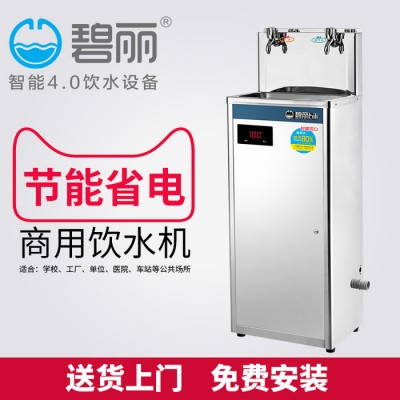 學(xué)校幼兒園過濾碧麗直飲機(jī)50人雙溫水凈水器醫(yī)院工廠飲水機(jī)JO-2E茶水間直飲水車間直飲機(jī)