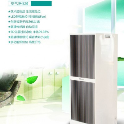 OEM 空氣凈化器