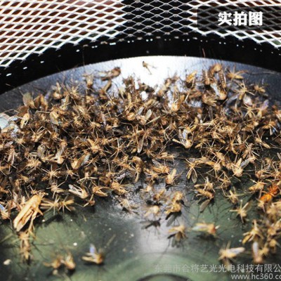 新款吸入式滅蚊燈LED光觸媒家用滅蚊器孕婦驅(qū)蚊器捉蚊燈直銷(xiāo)