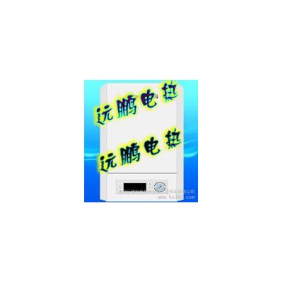 供應遠鵬電熱壁掛式電采暖爐電采暖壁掛爐
