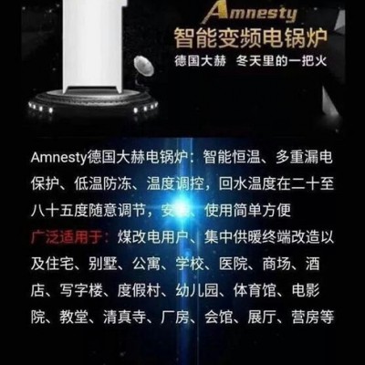 德國大赫Amnesty-200 電采暖