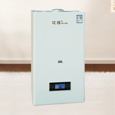 定制 燃?xì)忮仩t  燃?xì)鉄崴?電采暖爐  冷凝燃?xì)忮仩t