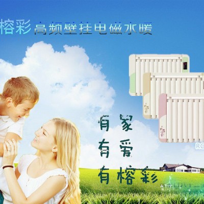 供應榕彩智能遠程遙控電采暖爐  智能電暖器