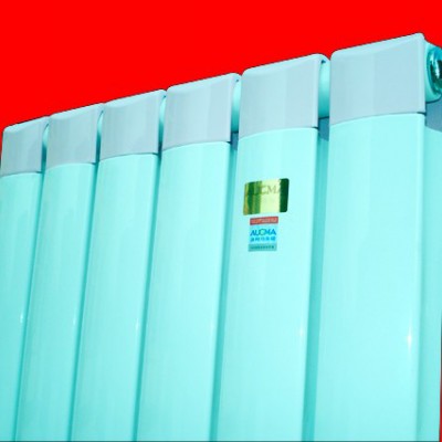 采暖散熱器**品牌耐澳暖氣片衛(wèi)浴背簍電采暖**電暖氣