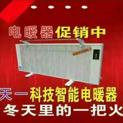 天一電采暖爐電暖氣/暖風(fēng)機(jī)/取暖器 碳纖維電暖氣 電暖氣