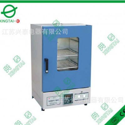 興泰 電熱恒溫鼓風干燥箱 熱風循環烘箱 電烤箱 可定做