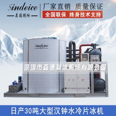 工業制冰機**日產30噸大型制冰機化工食品加工片冰機