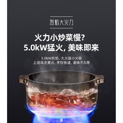 驍帥XS-008 驍帥集成灶
