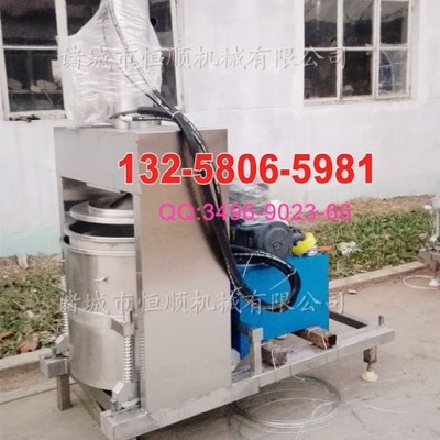 訂制大噸位大型水果壓榨機  檸檬鮮橙榨汁機   桑葚果汁過濾清汁壓榨機