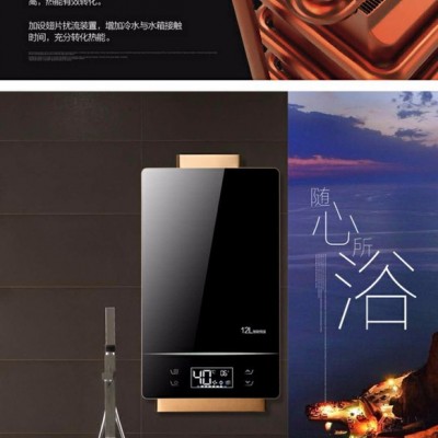 OEM品牌12L天然氣熱水器 節(jié)能恒溫家用熱水器