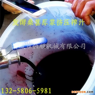 恒順機械液壓壓榨機   菠蘿**桃、檸檬果汁榨汁機  鮮釀果酒酵素原汁過濾壓榨機