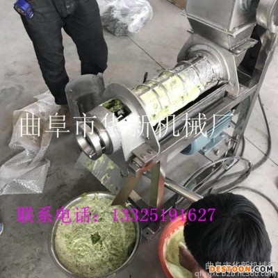 商用電動果樹洋蔥榨汁機(jī)  洋蔥榨汁機(jī) 廠家