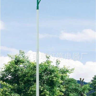 璀璨 太陽能街燈 6米30w 農村路燈 街燈 6米路燈