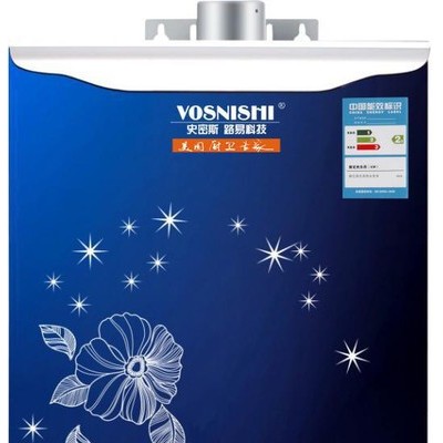 供應史密斯燃氣熱水器JSQ-R125  10L恒溫(2.0)