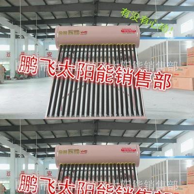 直銷太陽能熱水器 金碧輝煌太陽能熱水器淺粉系列 **價(jià)廉