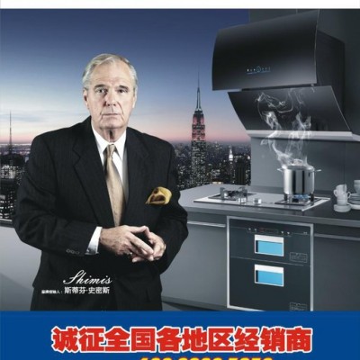 供應史密斯JSQ-R125  10L強排(2.0) 燃氣熱水器