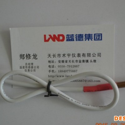 感溫探頭熱水器用熱敏電阻溫度傳感器熱水器溫度表