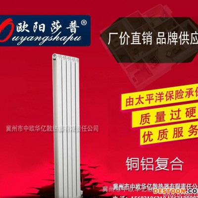 暖氣片 散熱器 散熱片 銅鋁復合散熱器 銅暖氣片 家居裝飾暖