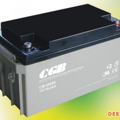 CGB長光蓄電池CB12240/12V24AH鉛酸免維護蓄電池 UPS/EPS不間斷電源 應急照明太陽能儲備電源