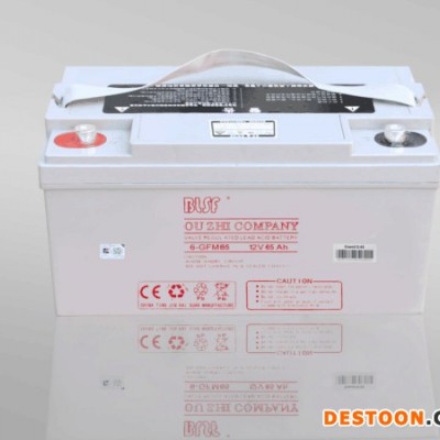 BLSF保利時蓄電池6-GFM120寶利時12V120AH閥控密封鉛酸蓄電池保利時機房ups免維護蓄電池太陽能電池