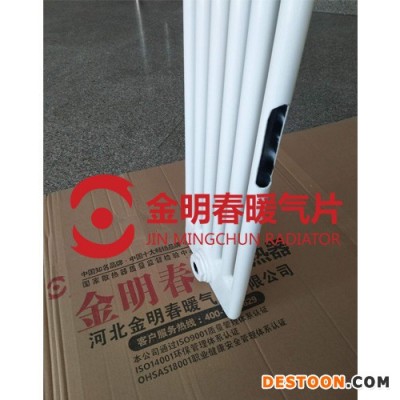 源頭廠家 工程暖氣片 鋼六柱 鋼六柱散熱器 鋼六柱暖氣片 GZ609批發