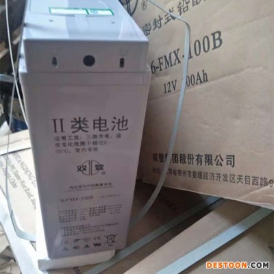 雙登蓄電池6-FMX-100B雙登狹長形蓄電池12V100AH 通訊基站 太陽能