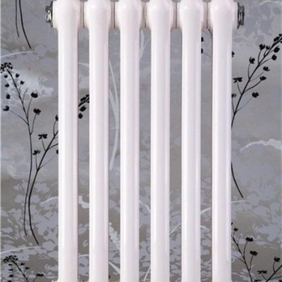 散熱器_北鑄散熱器_豪華散熱器