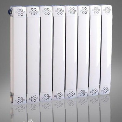 供應(yīng)圣瑪利亞散熱器廠家