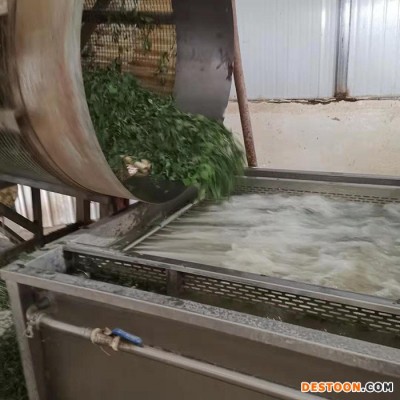 星科供應不銹鋼海產品高壓噴淋清洗機 酸菜油菜氣泡清洗機 凈菜加工超聲波清洗流水線
