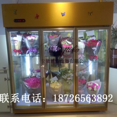 JB-LSXHG-M佳伯 直冷鮮花柜鮮花保鮮柜哪有賣 花店鮮花保鮮柜