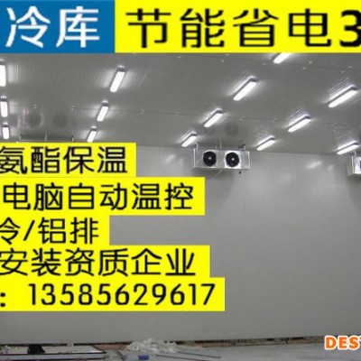 冷庫 凍庫 保鮮冷庫 徐州市茶葉保鮮柜 沛縣肉海鮮速凍庫
