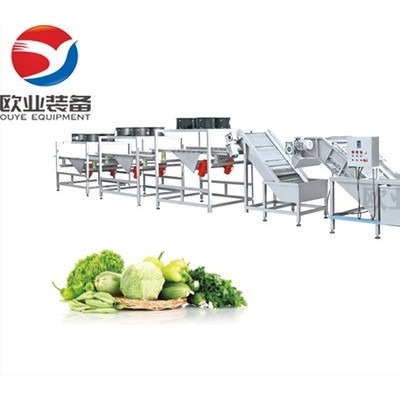 歐業超聲波清洗機果蔬清洗加工流水線凈菜加工流水線氣泡水機器廠家銷售