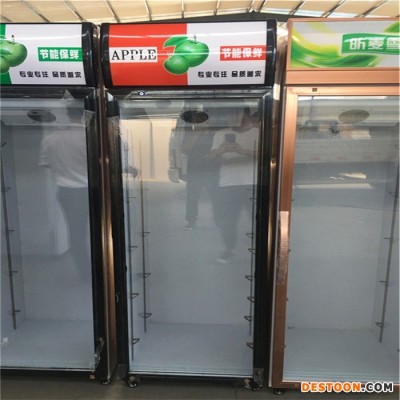 雙開門飲料冰柜尺寸價格 超市冷藏展示柜廠家批發(fā) 超市冷藏柜保鮮柜