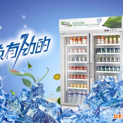 供應英雪冷柜,展示柜,保鮮柜