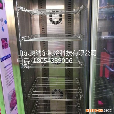 小型智能解凍保鮮柜雞肉豬肉牛羊肉解凍機