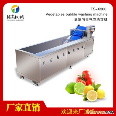 【騰昇】新型TS-X300大型多功能超聲波洗果機 自動蔬菜清洗機 節能高質量