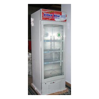 單門展示陳列柜立式多層保鮮柜食品冷藏柜超市飲料家用啤酒樣品菜