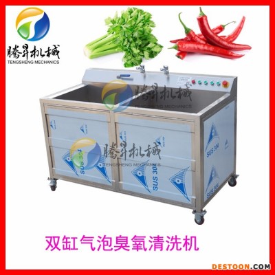 騰昇TS-B多功能果蔬清洗機 超聲波洗菜機 根莖類蘿卜土豆洗菜機 洗菜機價格騰昇