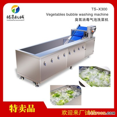 騰昇TS-X300洗菜機  超聲波洗菜機  葉菜瓜果臭氧清洗機  生產線設備洗菜機