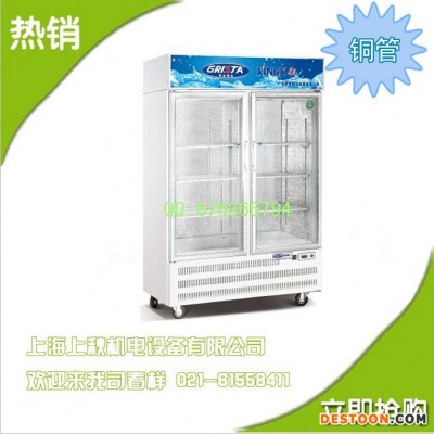 星星大二門立式玻璃門展示柜SG1.0E2B-A冷藏冰箱飲料保鮮柜陳列柜