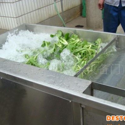YQX-650蔬菜清洗機 超聲波清洗機